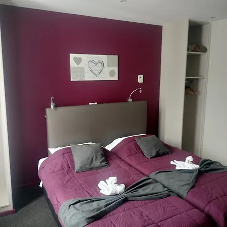 Hotel Montsouris Orleans